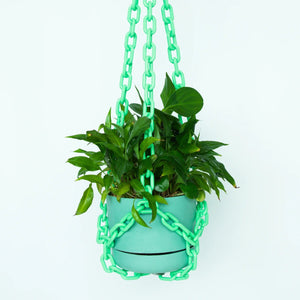Green hanging plant holder with a plant on a white background