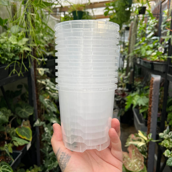 Clear Plastic Pot 100mm | Orchids Aroids | Growing Grounds (SINGLE POT)