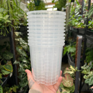Clear Plastic Pot 135mm | Orchids Aroids | Growing Grounds (SINGLE POT)