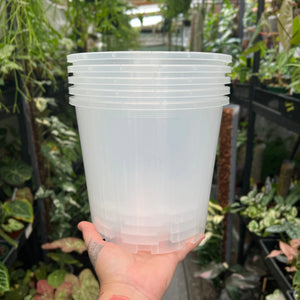 Clear Plastic Pot 200mm | Orchids Aroids | Growing Grounds (SINGLE POT & PICKUP ONLY)
