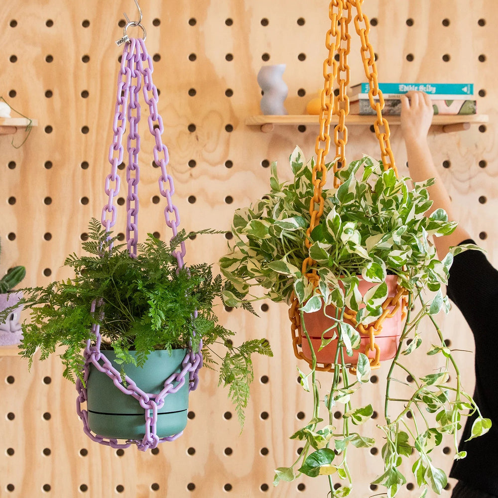 Person arranging plants in hangers against a wooden pegboard wall.