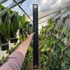 Propstick One-Twenty 1200mm | Reusable Climbing Plant Support