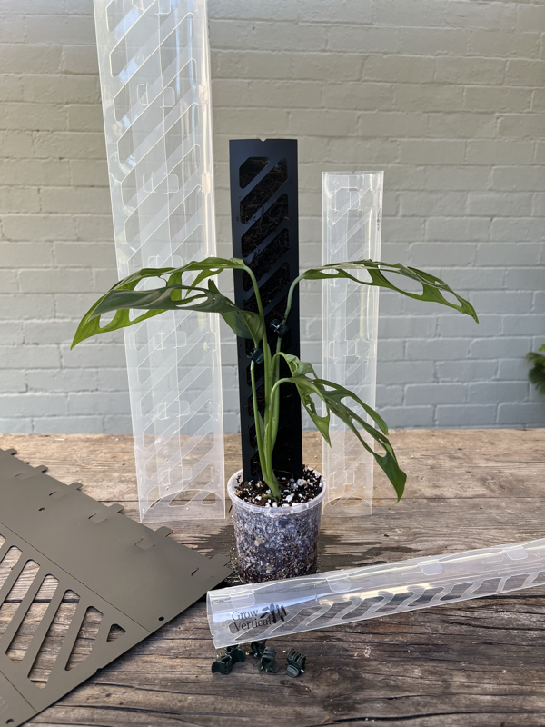 Propstick Sixty 600mm | Reusable Climbing Plant Support Pole