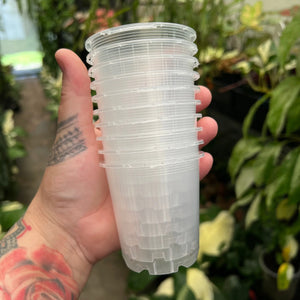 Clear Plastic Pot 70mm | Propagation Cuttings | Growing Grounds (SINGLE POT)