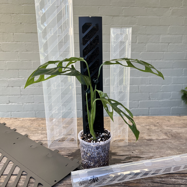 A vertical plant support, the Propstick Fourty, is shown in black and clear colors with a green potted plant demonstrating its use. The support is designed to prop up plants in a pot and appears to be made of plastic with a solid pattern and tab slots for adjustment.