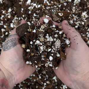 Close-up texture of AJ's Ultimate Aroid Mix showing multi-component chunky structure