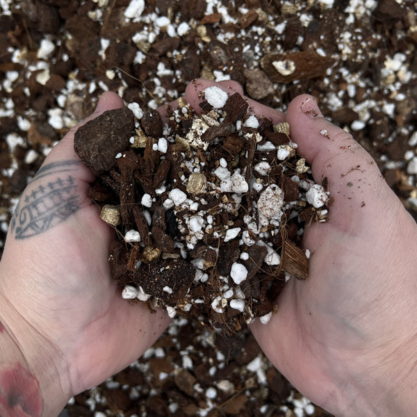 Close-up texture of AJ's Ultimate Aroid Mix showing multi-component chunky structure