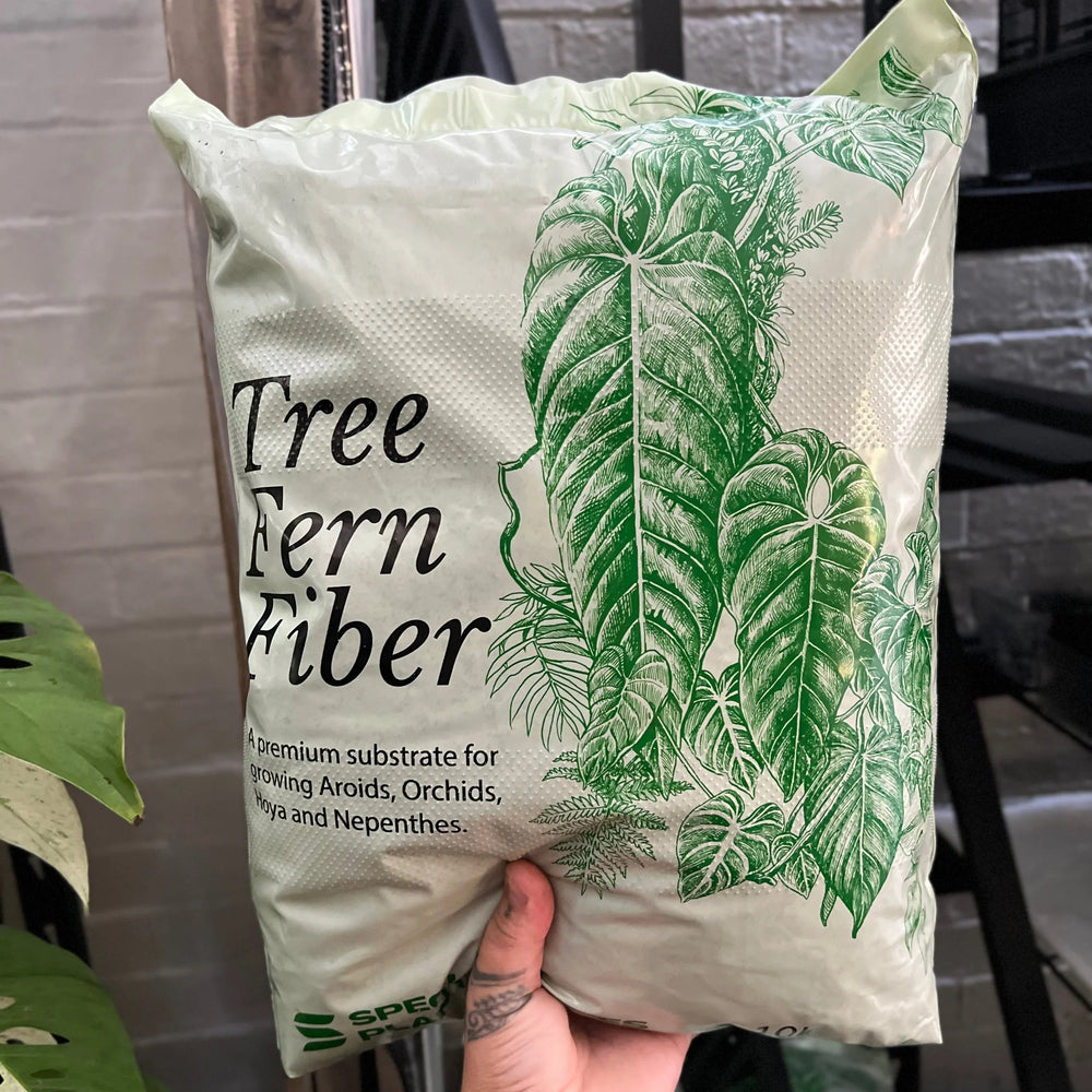 Australian Tree Fern Fiber 10L Bag | Premium Growing Medium