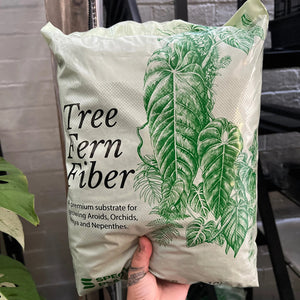 Australian Tree Fern Fiber 10L Bag | Premium Growing Medium