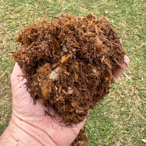 Australian Tree Fern Fiber 10L Bag | Premium Growing Medium