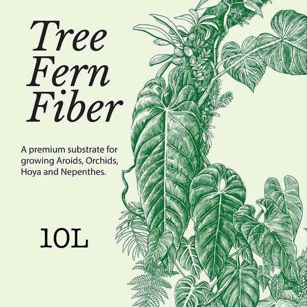Australian Tree Fern Fiber 10L Bag | Premium Growing Medium