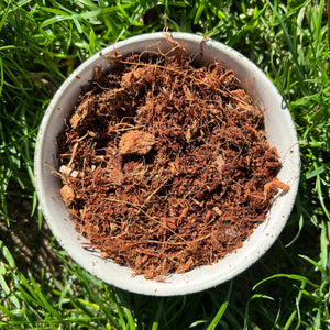 Close-up texture of coco coir showing fine coconut fibre structure