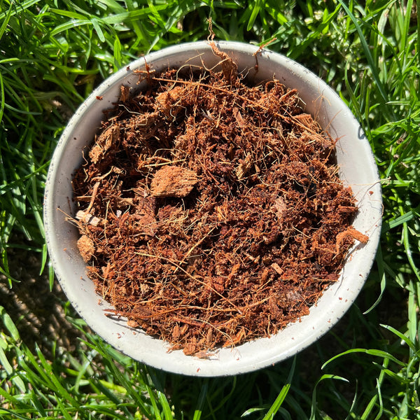 Close-up texture of coco coir showing fine coconut fibre structure