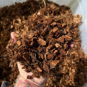 Natural coconut husk texture perfect for epiphytic plant growing