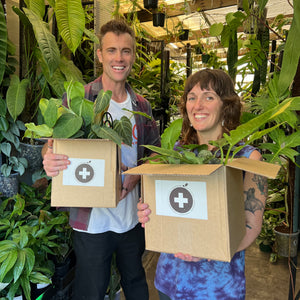 Plant Rescue Box | Mystery Imperfect Plant Bundle