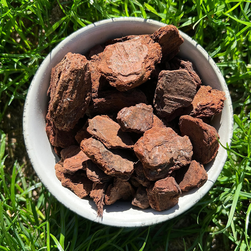 Premium chunky New Zealand pine bark 18-25mm in Growing Grounds Australia packaging