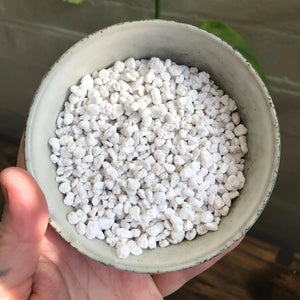 Close-up texture of medium perlite 2-4mm showing optimal balanced particle size