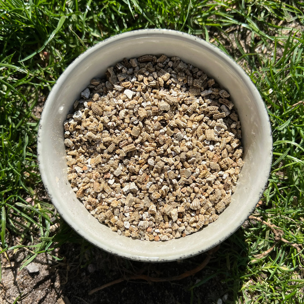 Close-up texture of fine vermiculite 1-2mm showing optimal particle size for seeds
