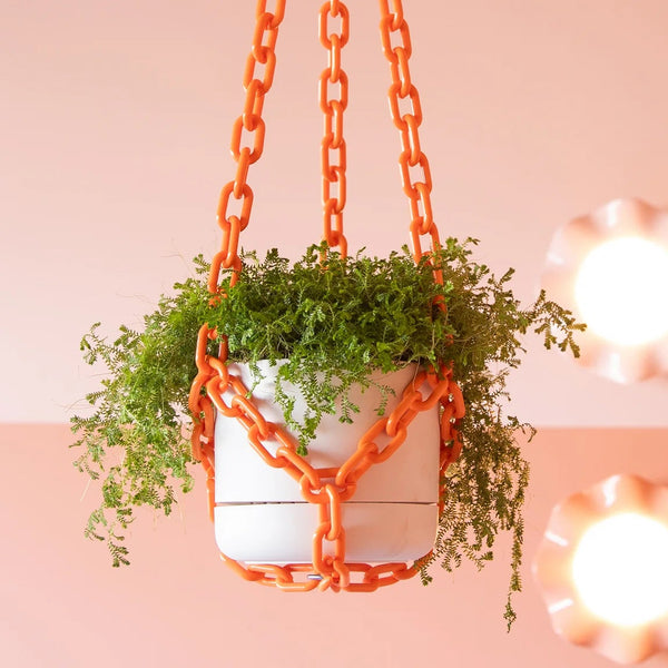 Hanging planter with orange chain against a pink wall with decorative lights.