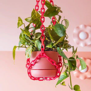 Pink hanging planter with green plant against a pink wall